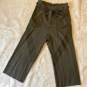 Express High Waisted Hunter Green Wide Legged Cropped Cargo Pants